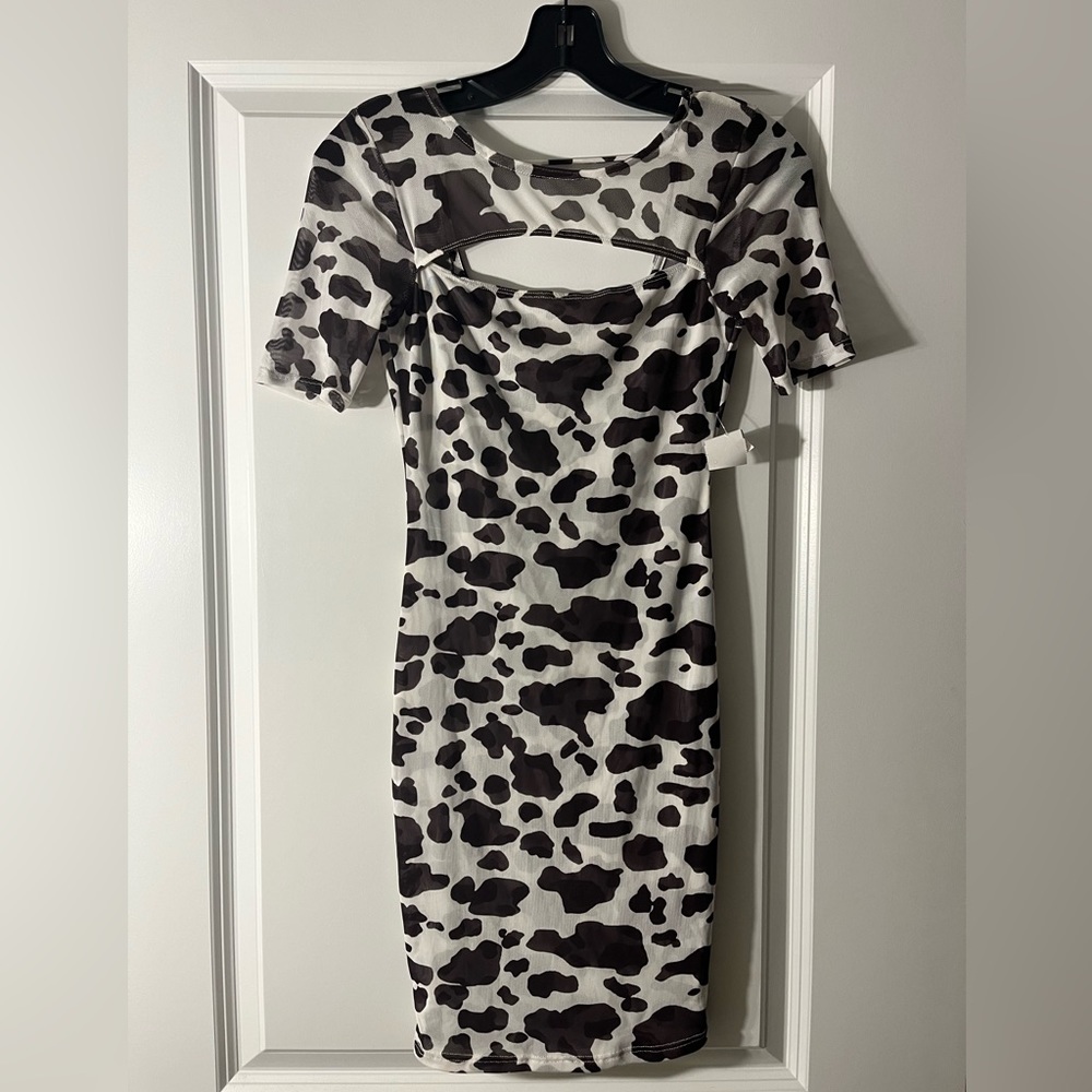 Print Mesh Dress
